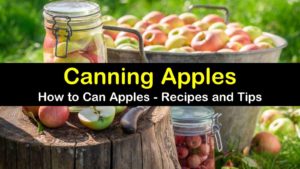 canning apples titleimg1