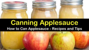 canning applesauce titleimg1