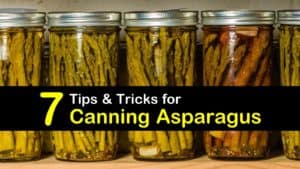 Canning Asparagus titleimg1