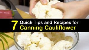 Canning Cauliflower titleimg1