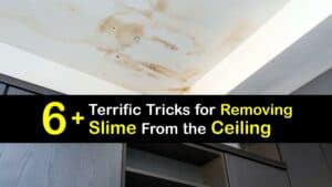 How to Get Slime off the Ceiling titleimg1