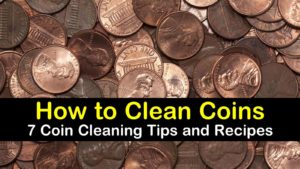 titleimg1 how to clean coins