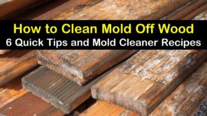 how to clean mold off wood titleimg1
