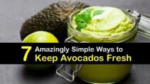 How to Keep Avocados Fresh titleimg1