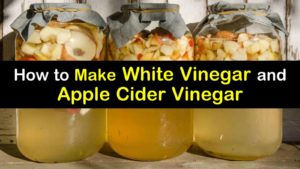 how to make vinegar titleimg1